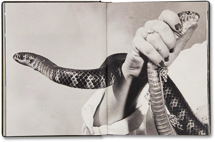 Girl Plays with Snake by Clare Strand