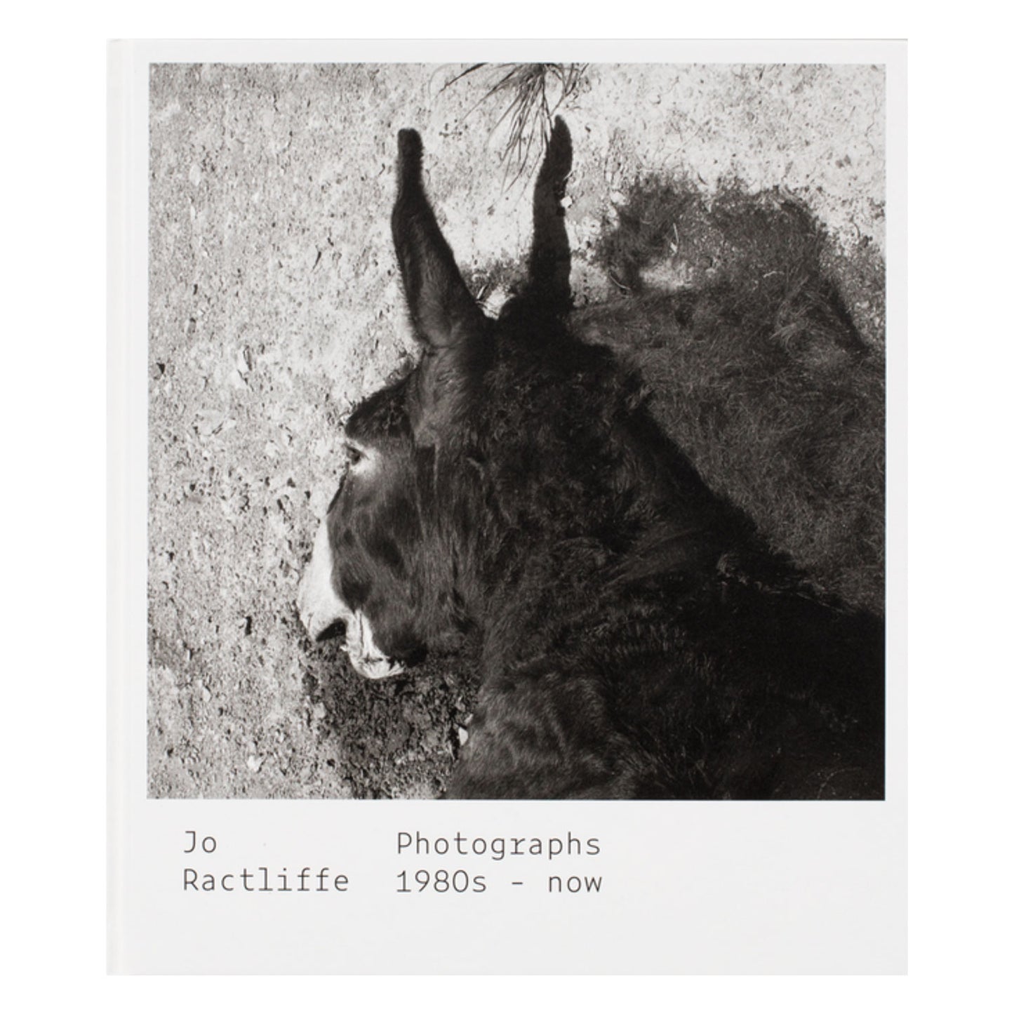Photographs 1980s - now by Jo Ractliffe Photo Museum Ireland