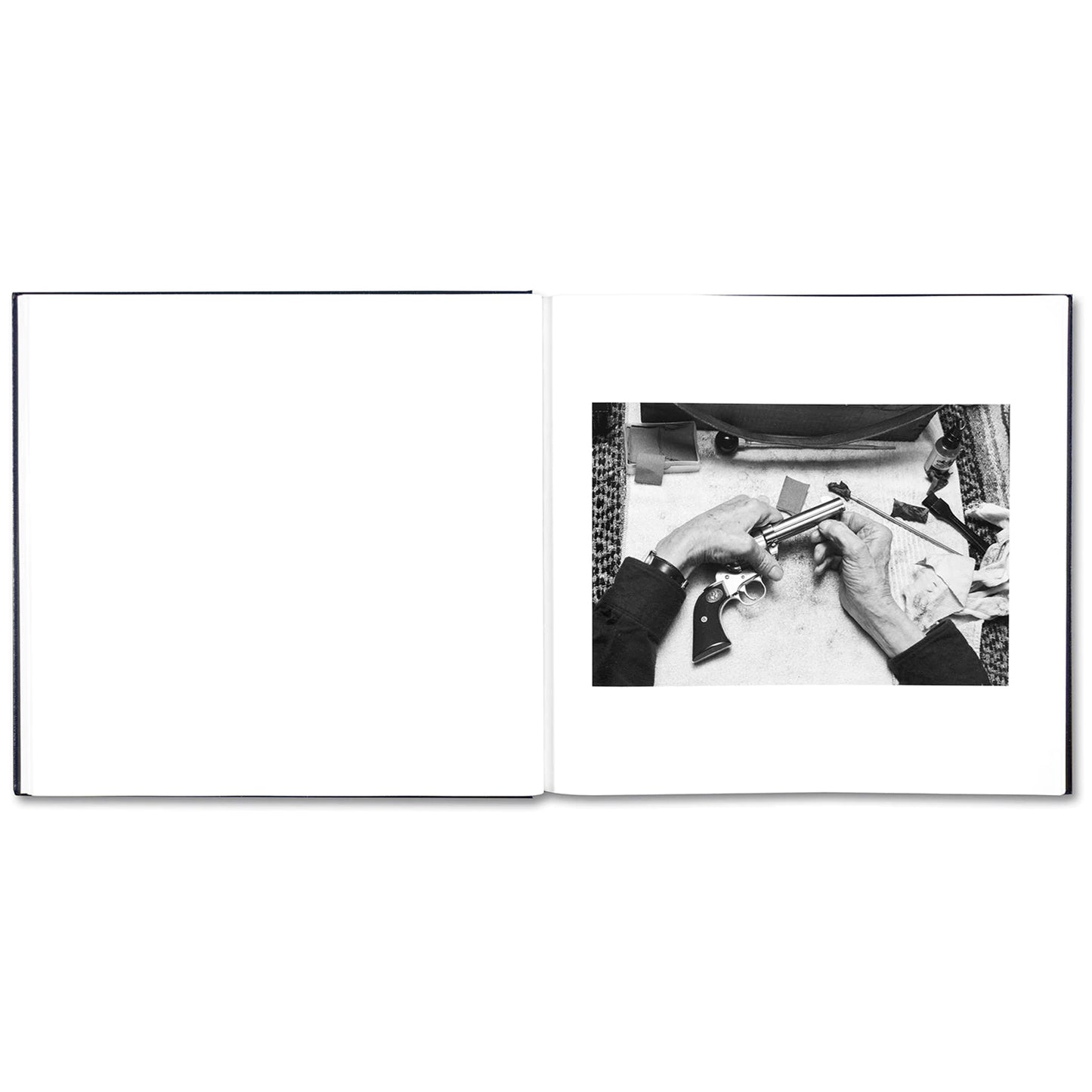 Some Say Ice by Alessandra Sanguinetti