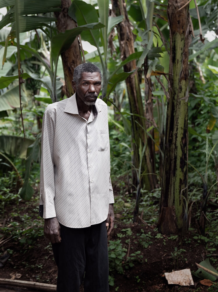 Beasts of Burden, Paul Seawright