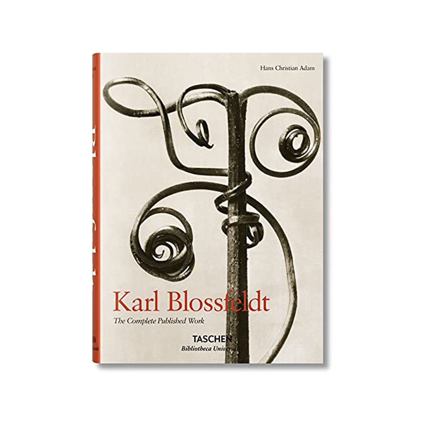 Karl Blossfeldt Photo Museum Ireland
