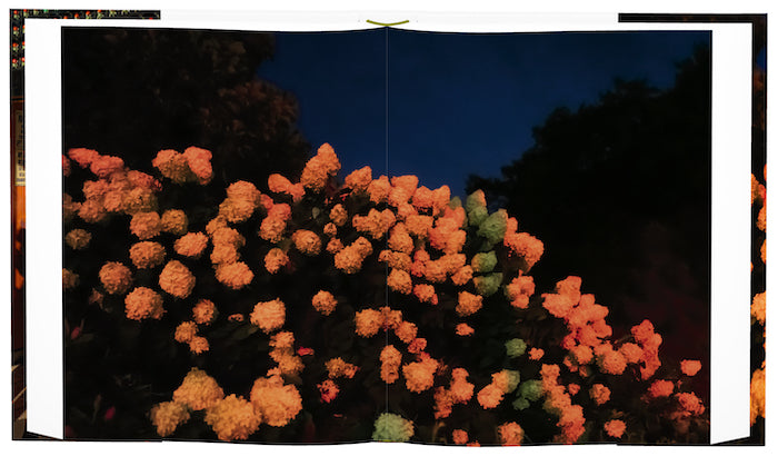 Brooklyn: The City Within by Alex Webb and Rebecca Norris Webb