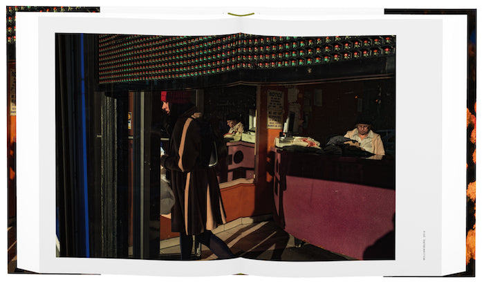 Brooklyn: The City Within by Alex Webb and Rebecca Norris Webb