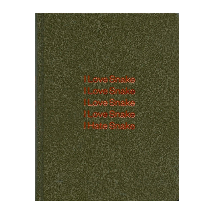 Girl Plays with Snake by Clare Strand