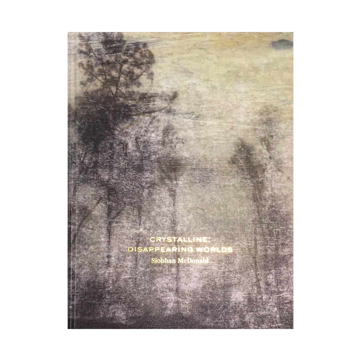 Crystalline: Disappearing Worlds by Siobhan McDonald