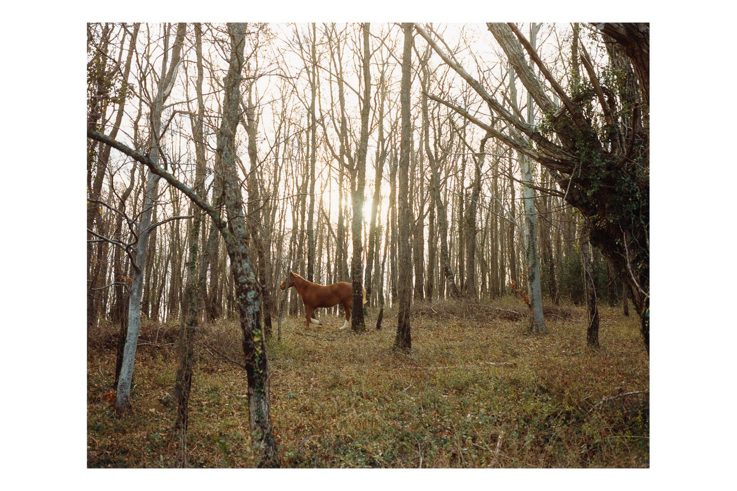The time of dreaming the world awake by Yvette Monahan