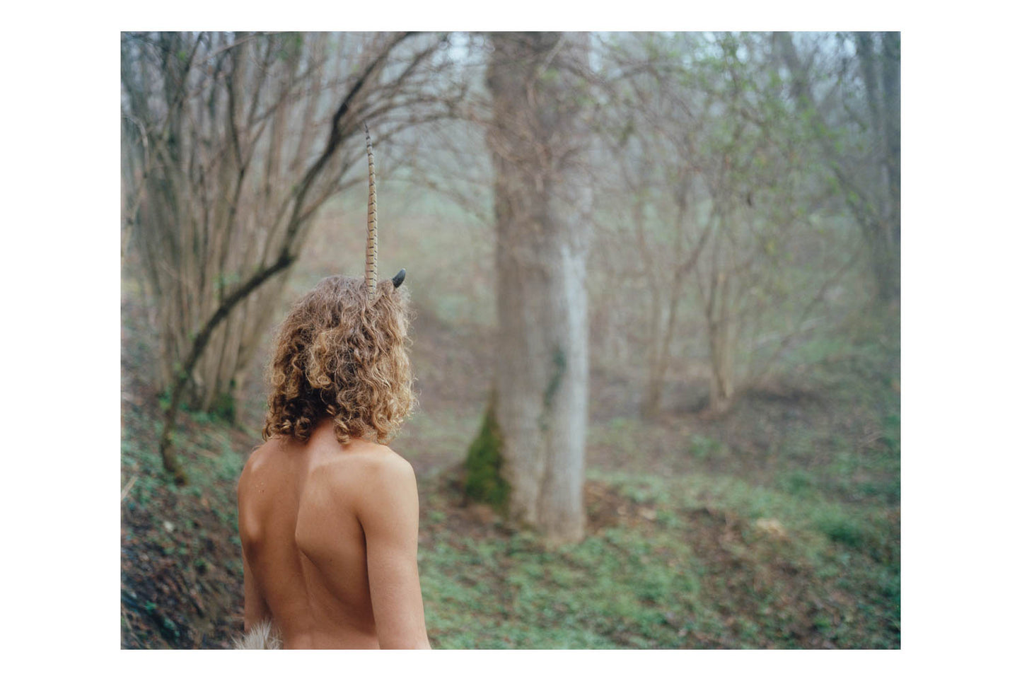 The time of dreaming the world awake by Yvette Monahan