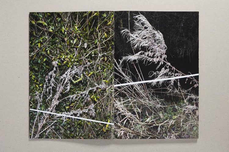 Of Bounds by Bernadette Keating