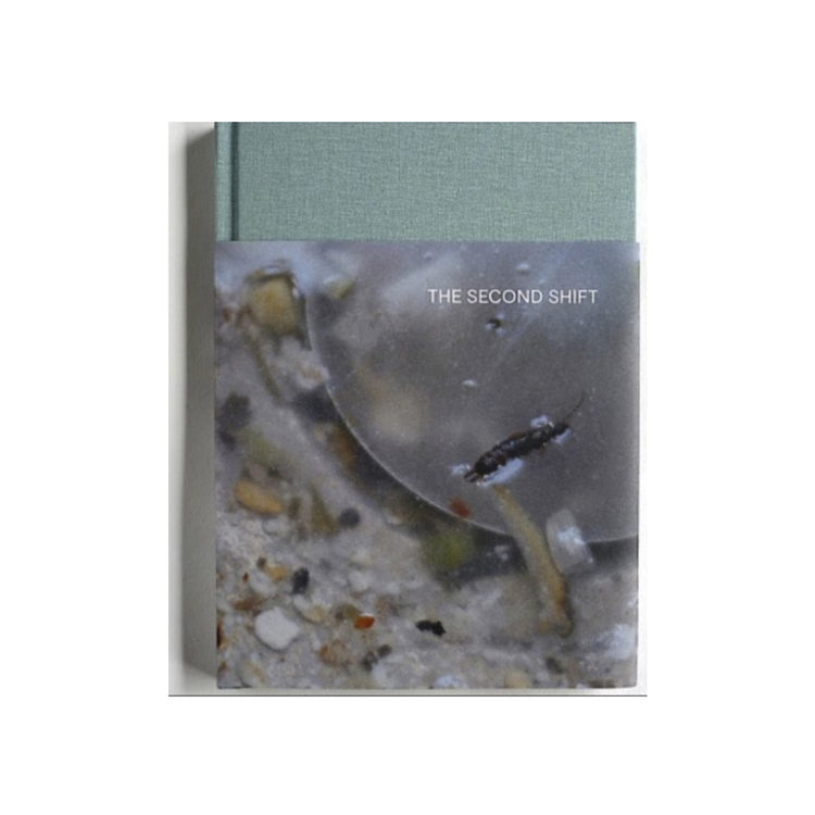 The Second Shift, Clare Gallagher