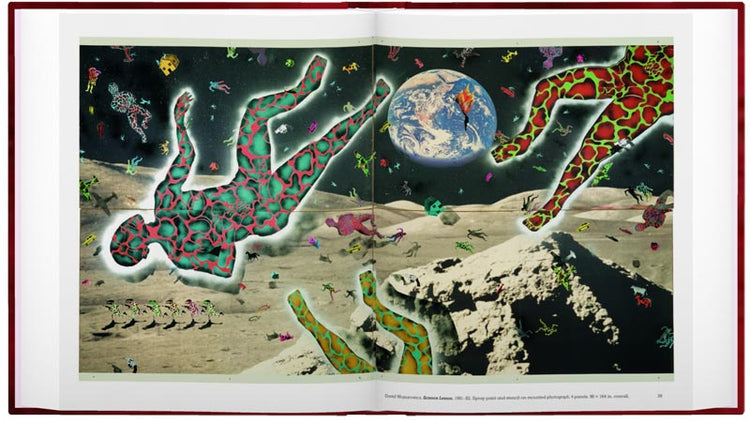 Brush Fires in the Social Landscape Photo Museum Ireland