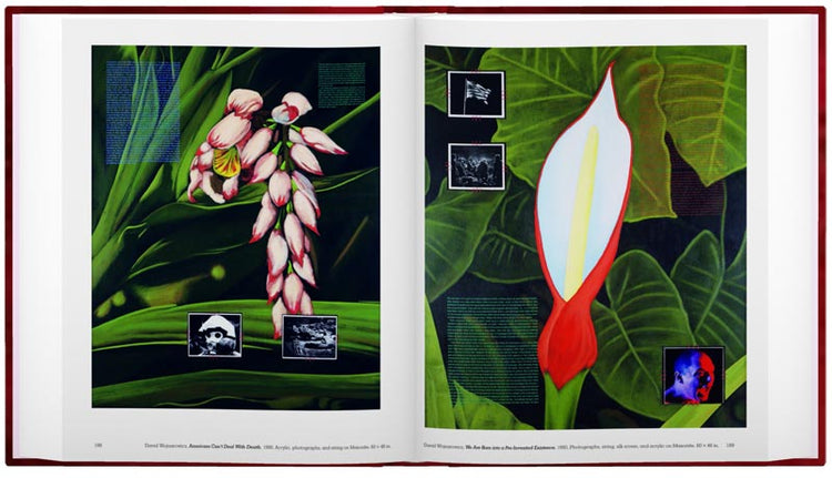 Brush Fires in the Social Landscape Photo Museum Ireland