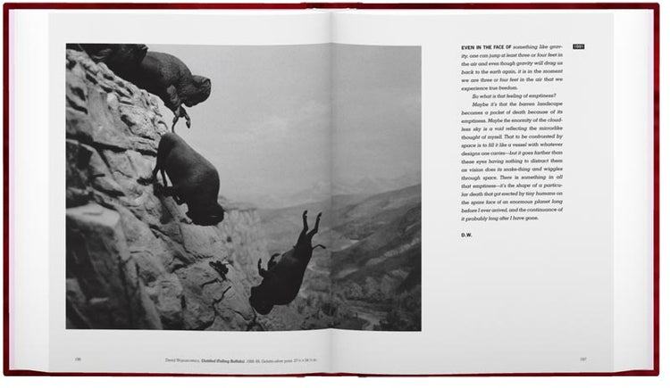 Brush Fires in the Social Landscape Photo Museum Ireland