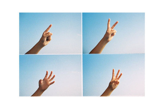ActionSampler Clear 4 Frame Camera
