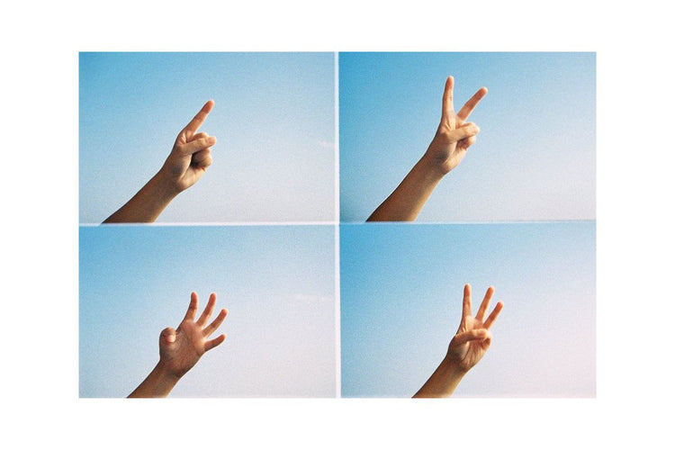 ActionSampler Clear 4 Frame Camera