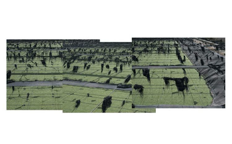 Field Test, Jackie Nickerson