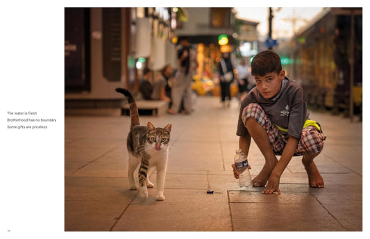 City Cats of Istanbul, Marcel Heijnen