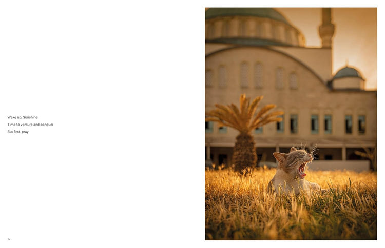 City Cats of Istanbul, Marcel Heijnen