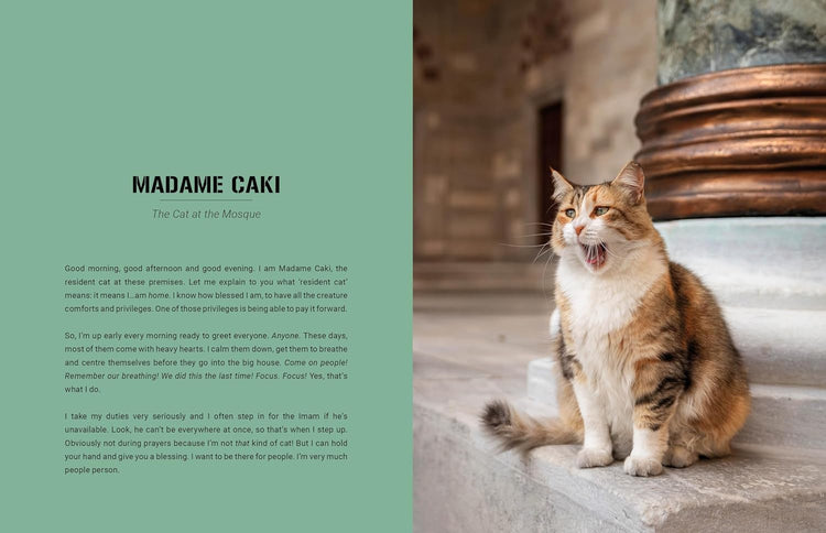 City Cats of Istanbul, Marcel Heijnen