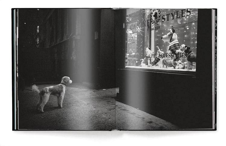 New York Street Diaries, Phil Penman