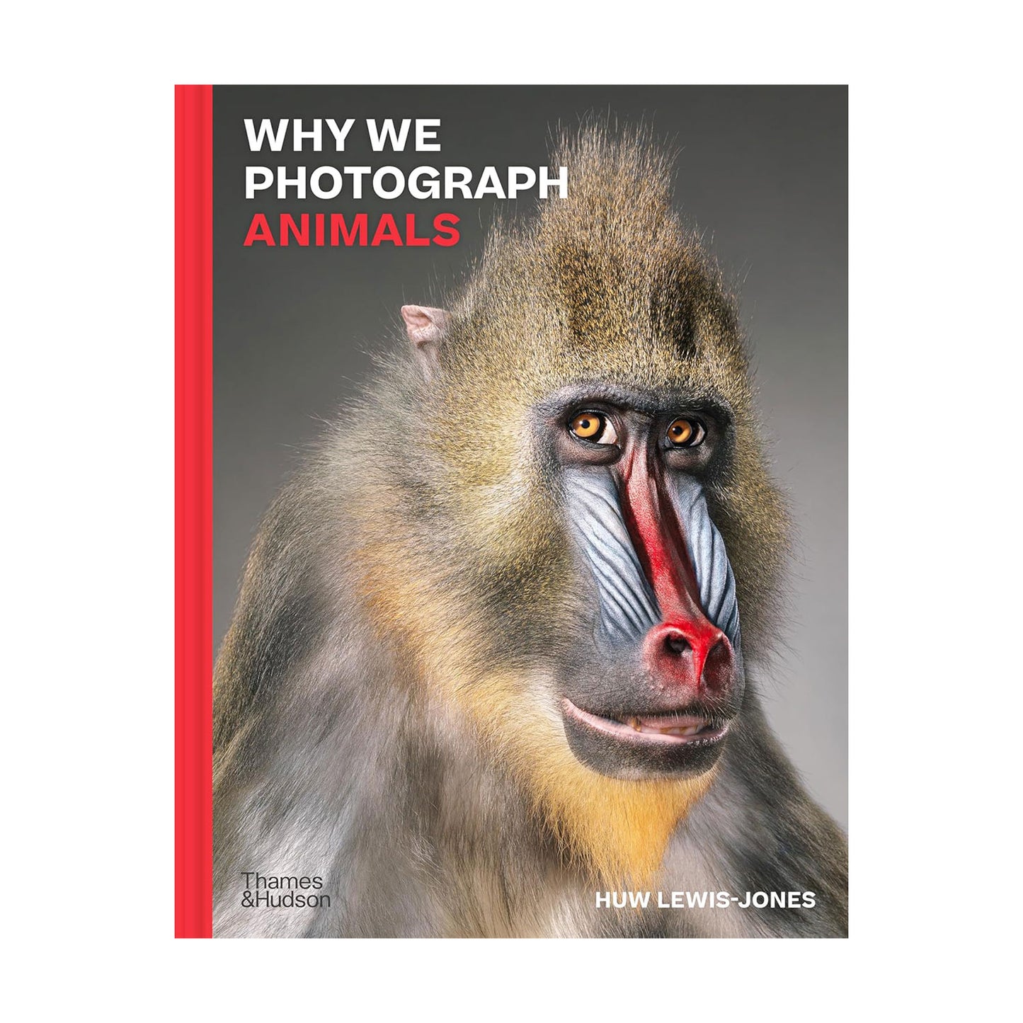 Why we photograph animals