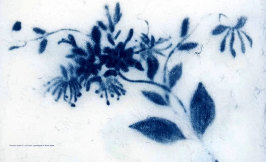 A True Record, Grace Wilentz & Jane Cummins