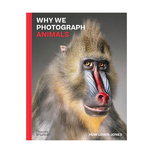 Cover of the book 'Why We Photograph Animals' displaying a close-up photograph of a monkey.