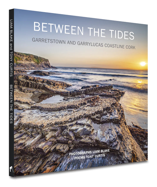 Between The Tides, Liam Blake & Tony Curtis