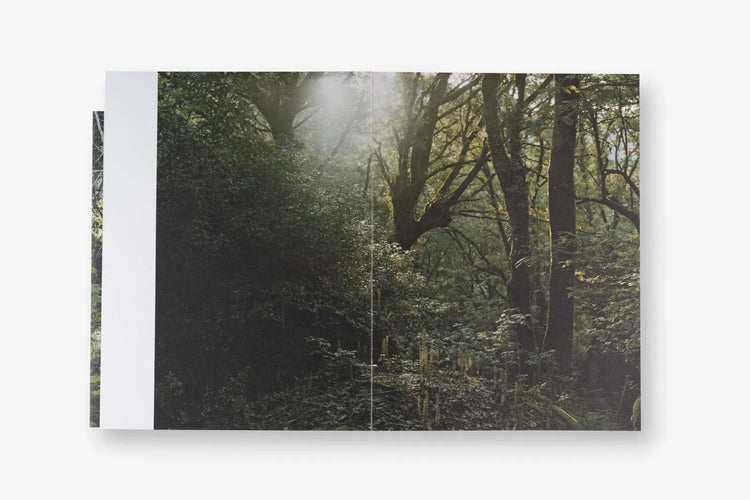 Bone Foam, Maria Oliveira