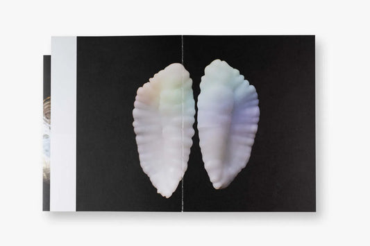 The Ocean Within, Yvette Monahan