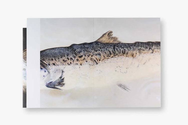 The Ocean Within, Yvette Monahan