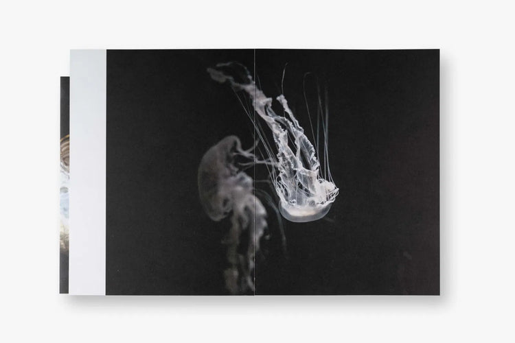 The Ocean Within, Yvette Monahan