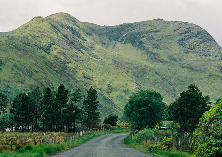 Irish Postcard Bundle set by Steve Turner