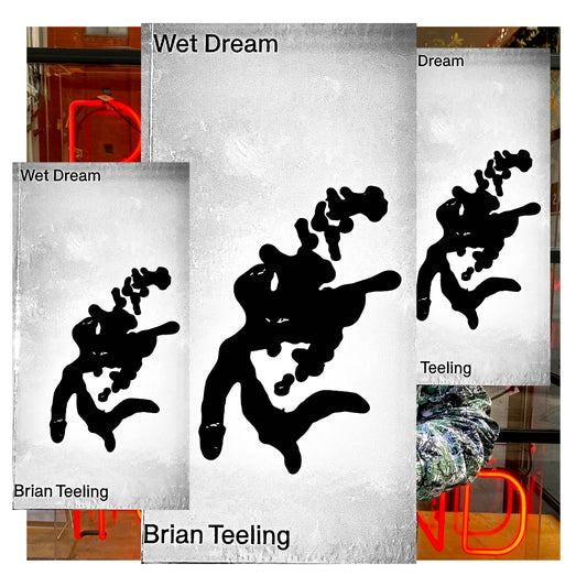 Wet Dream by Brian Teeling (Signed copy)