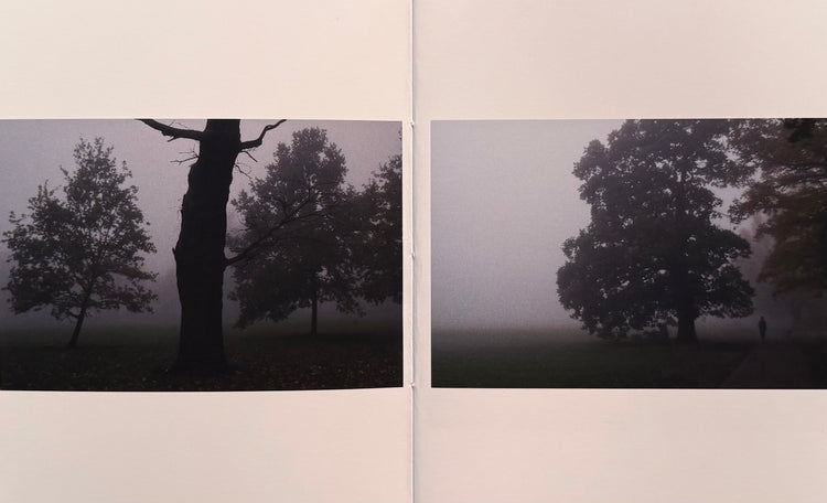 lost, Antoinette O'Loughlin (Signed)