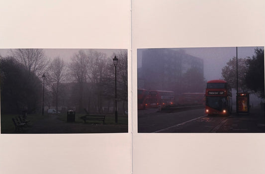 lost, Antoinette O'Loughlin (Signed)
