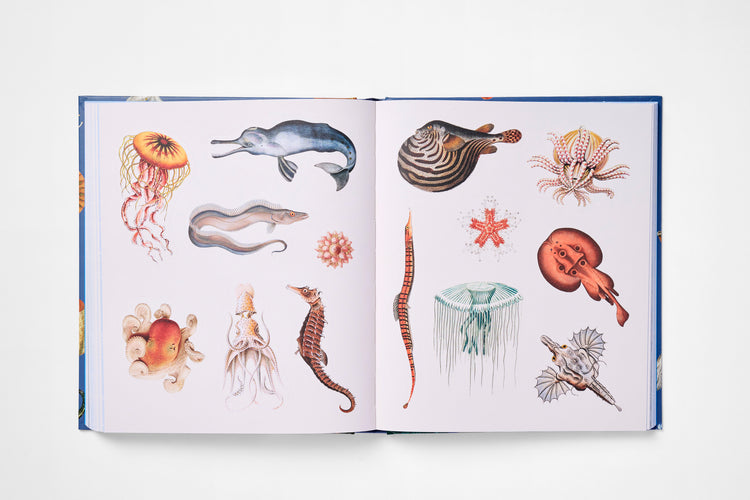 The Sticker Treasury of the Mystical and Esoteric: An eclectic book of stickers for journaling, collaging, scrapbooking and more