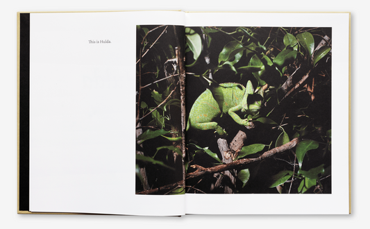 Hulda / Lilli, Maija Tammi