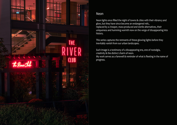 Neon Light - A Dying Light, Ryan De La Cour