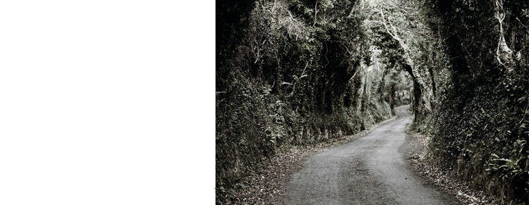 SLOW | CREATION | QUIET | ROOTS | LISTENING, Liat Schurmann, Luke Mollan, Jan von Hugo (Signed)