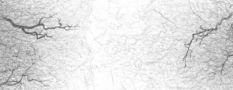 SLOW | CREATION | QUIET | ROOTS | LISTENING, Liat Schurmann, Luke Mollan, Jan von Hugo (Signed)