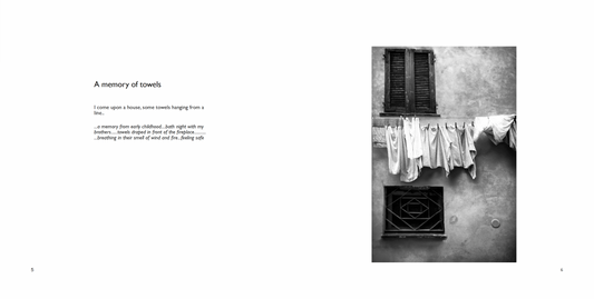 Ghosts: Reimagining Reality, Mark McGranaghan
