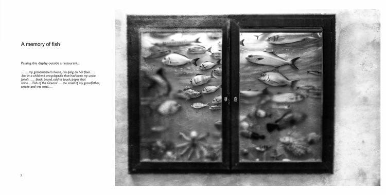Ghosts: Reimagining Reality, Mark McGranaghan