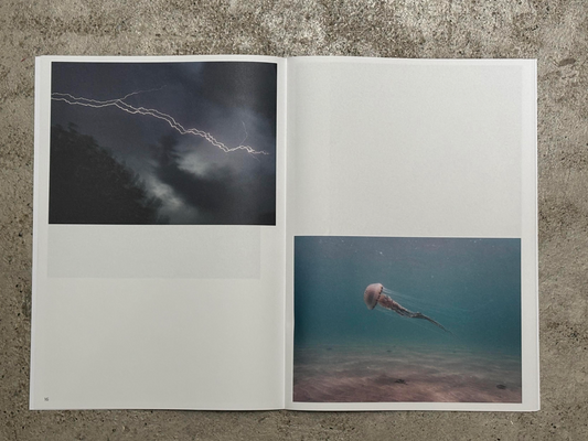 Brionglóid, Island Photographers