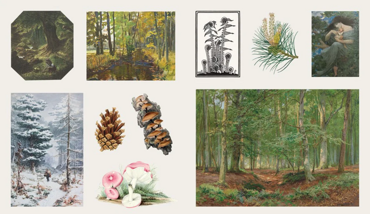 The Sticker Treasury of Woodland Adventures