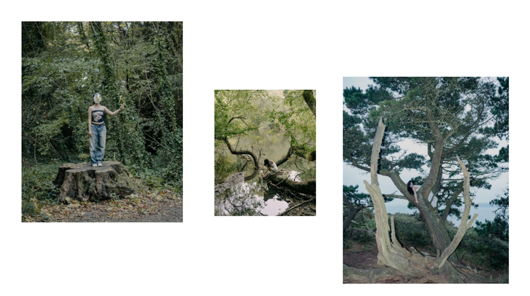 Free-floating Jellyfish, Xuying Li