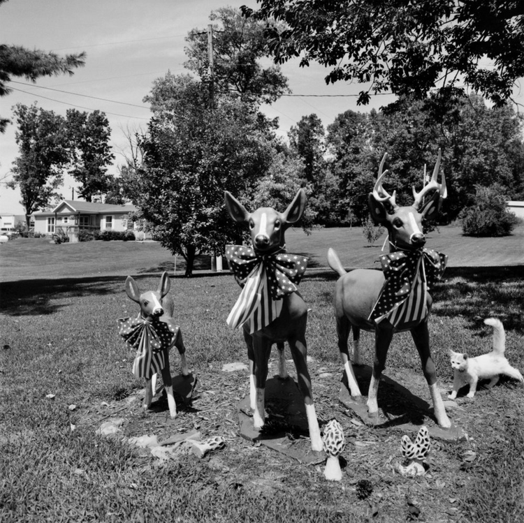 Heartlands, Andreas Horvath