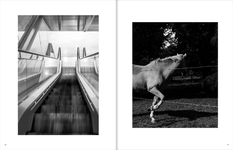 Bobby, Docu Magazine