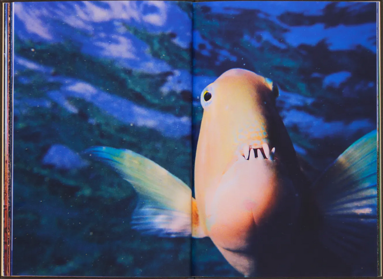 Are We Always Outside, Milo Reid (Signed and Numbered Editions)