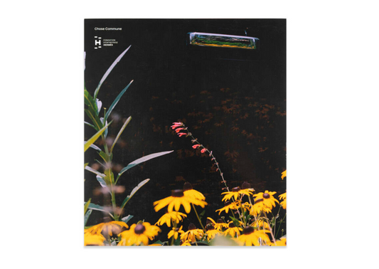 Mystery Street, Vasantha Yogananthan