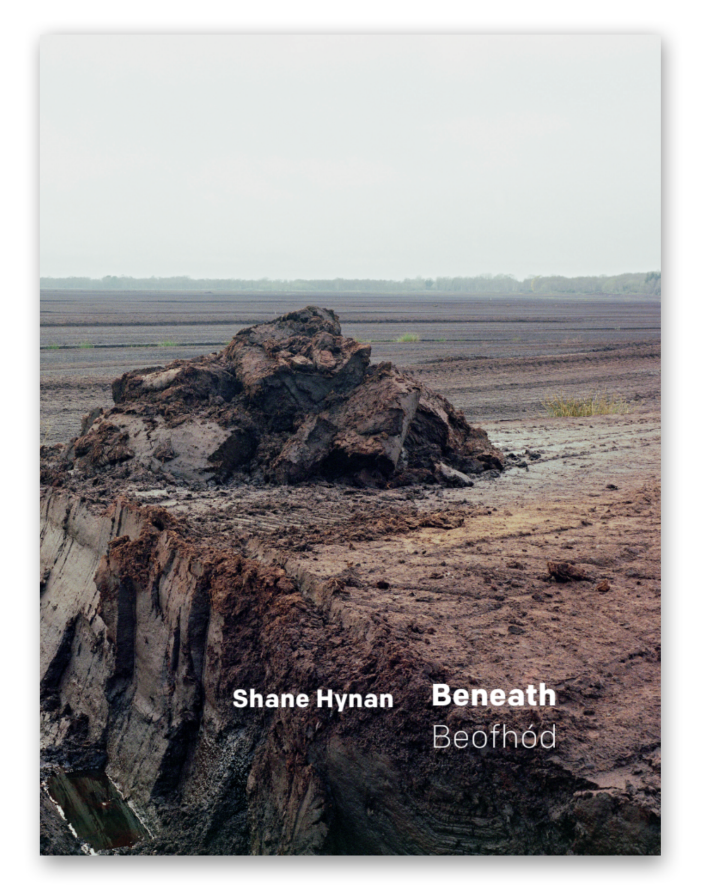 Book cover with a photograph of a rocky landscape and text 'Shane Hynan Beneath Beothéd'.